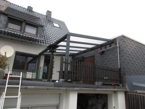 IMG_0239