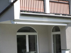 IMG_0558