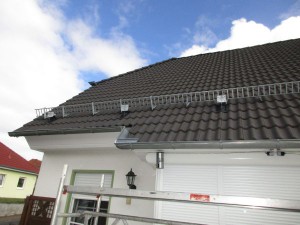 IMG_0654