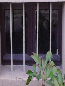IMG_20130816_094708